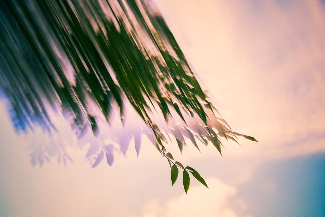 https://static.cfbond.com/files/web/online/caifuwang/images/2509/05/1119476255602888.png